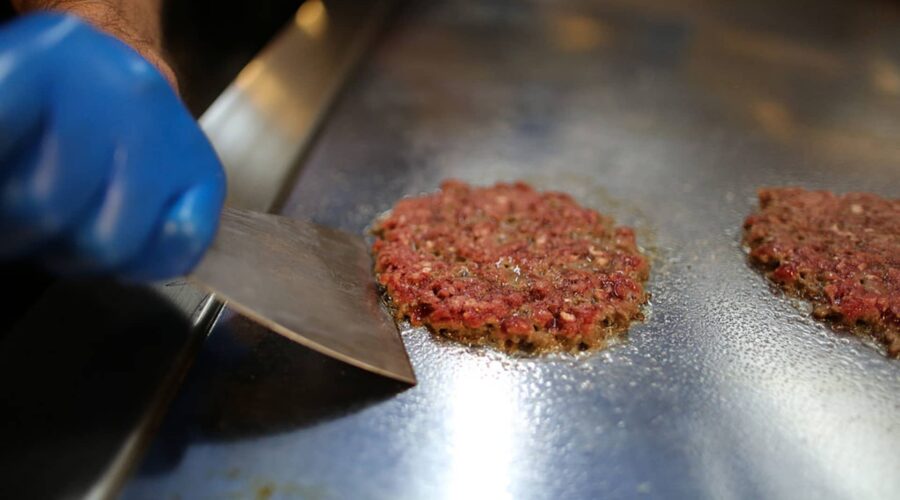 Enterprise’s 10 Best Shake Shack Spots for All-Day Satisfaction