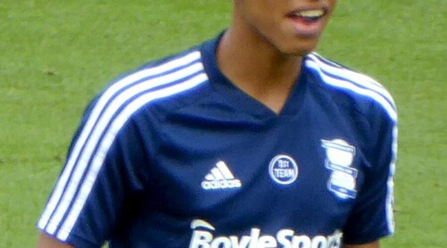 Bellingham’s Top 10 Tow Trucks for Coastal and College Drivers