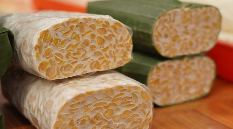 Tempe’s Top 10 Shake Shack Favorites for Students and Locals