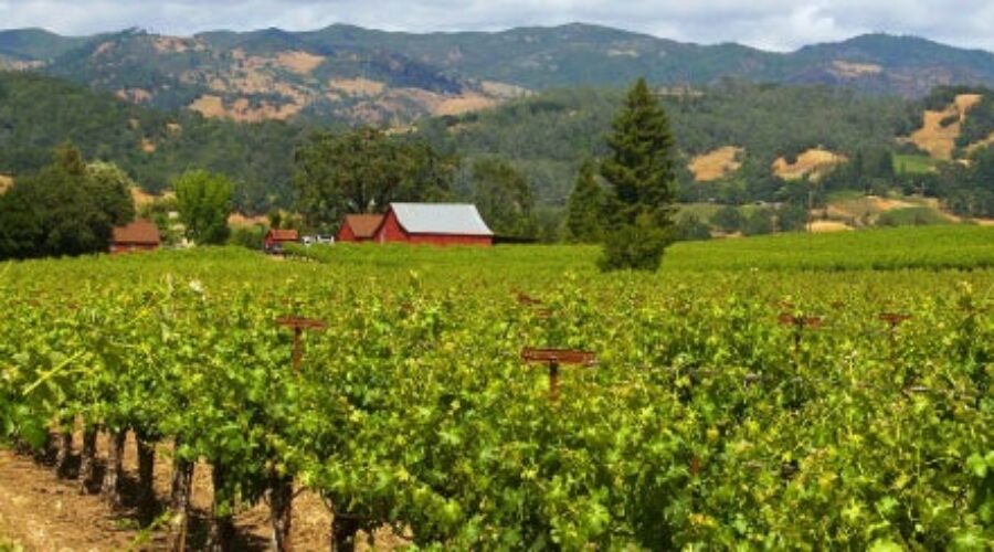 Sonoma’s 10 Trusted Tow Truck Companies Serving Wine Country