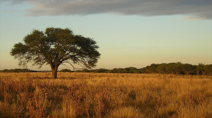 Pampa’s 10 Best Tow Trucks for Quick and Affordable Rescue