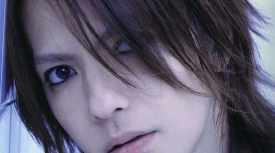 Hyde Park’s 10 Reliable Tow Truck Companies for Dependable Rescue