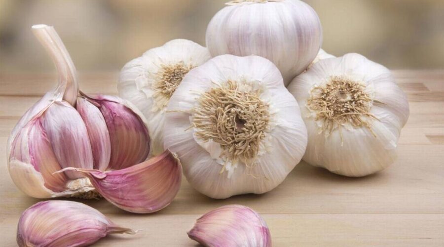 Ajo’s 10 Best Shake Shacks Bringing Bold Desert Flavor