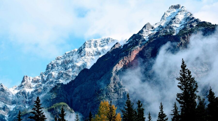 Mountain View’s Top 10 Tow Trucks That Get You Moving Again