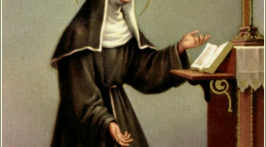 Sainte Genevieve’s 10 Best Tow Truck Companies for Historic City Roads