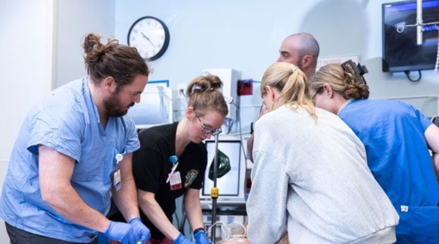 Woods Hole’s Top 10 Tow Trucks for Cape Cod Road Emergencies