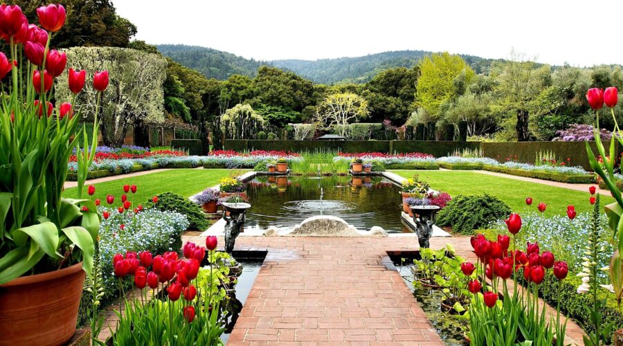 Garden Grove’s Top 10 Shake Shacks for Orange County Foodies