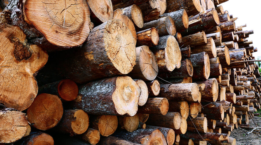 Wood River’s 10 Best Tow Truck Companies for Quick Response